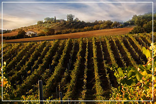 Agriturismo a Siena