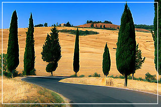 Agriturismo a Siena